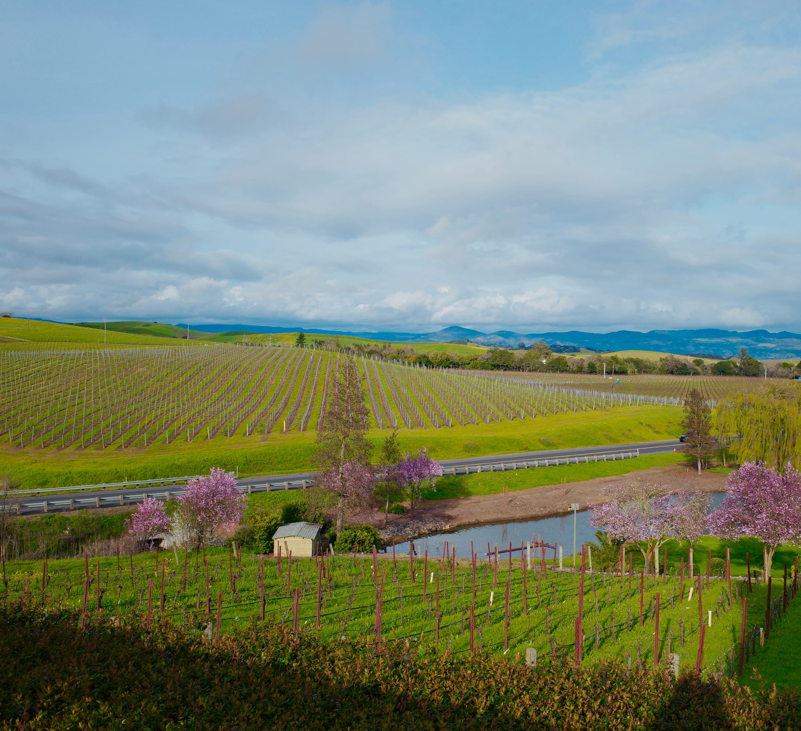 Poured & Plated: Our Weekend Trip Itinerary Exploring Napa & Sonoma's Vineyards and Kitchen