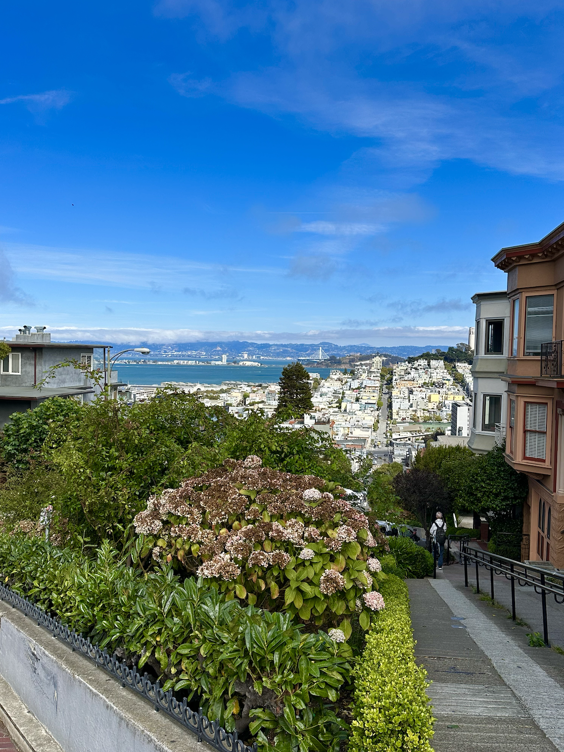 Must Try Bites of San Francisco